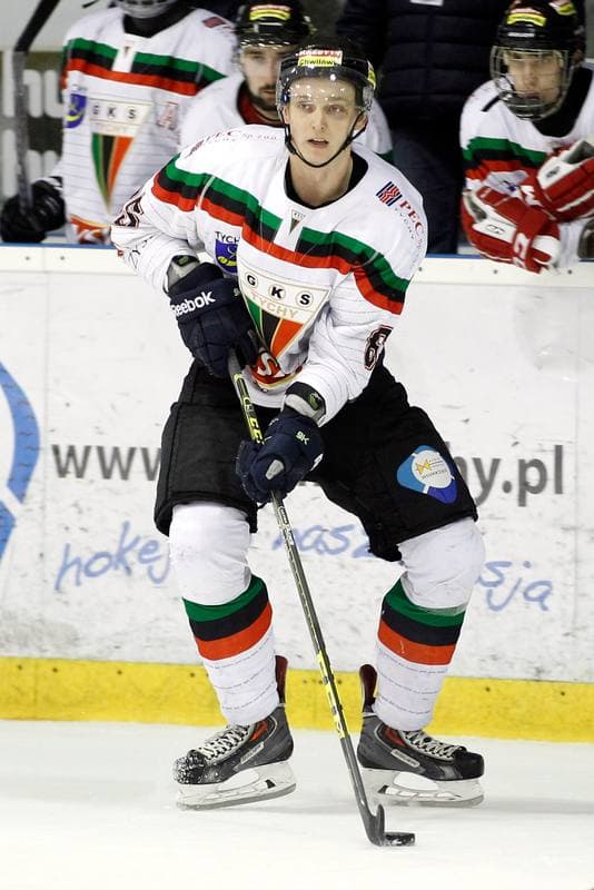 Ice Hockey. Polska Hokej Liga. GKS Tychy - Comarch Cracovia Krakow. 26.01.2016