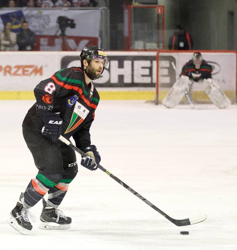 Ice Hockey. Polish Hockey League. Comarch Cracovia - GKS Tychy. 22.03.2016