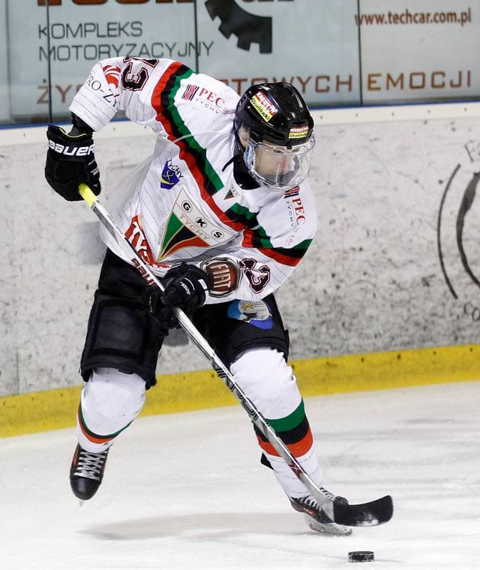Ice Hockey. Polish Hockey League. GKS Tychy - Comarch Cracovia. 24.03.2016