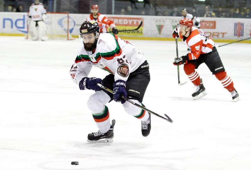 Ice Hockey. Polish Hockey League. GKS Tychy - Comarch Cracovia. 24.03.2016
