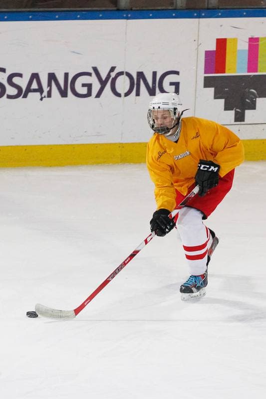 Ice Hockey. Women's National Team. Training. 30.03.2016