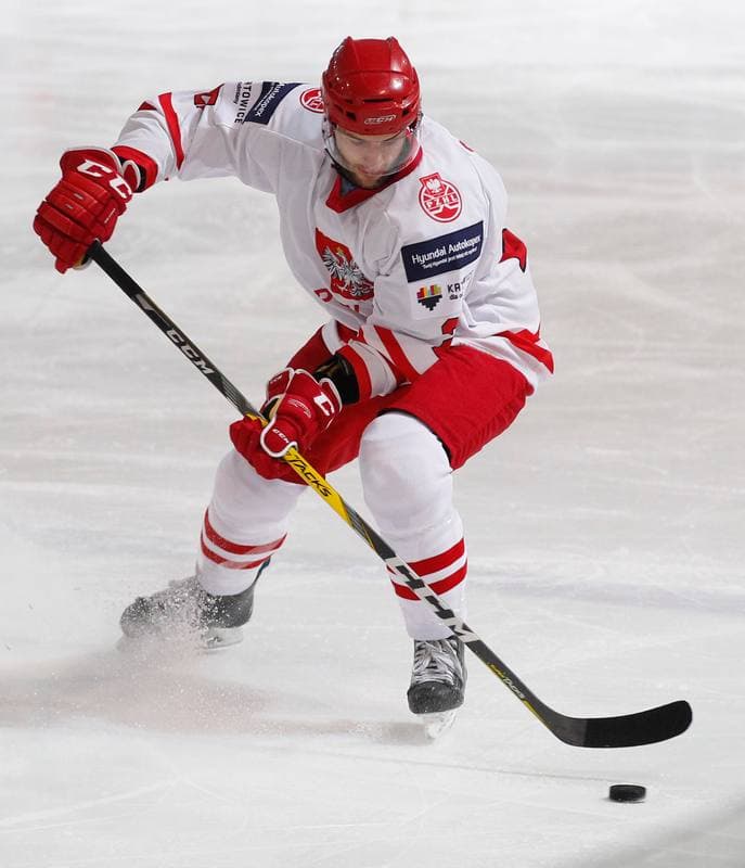 Ice Hockey. International Friendly Match. Poland - Lithuania. 14.04.2016