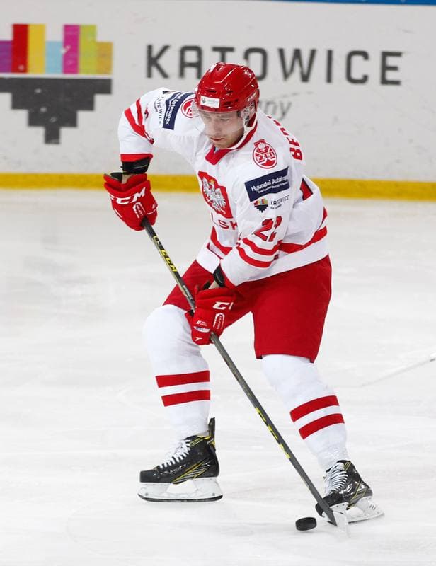 Ice Hockey. International Friendly Match. Poland - Lithuania. 14.04.2016
