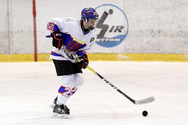 Ice Hockey. PLHK. Polonia Bytom - Atomowki Tychy. 27.01.2017