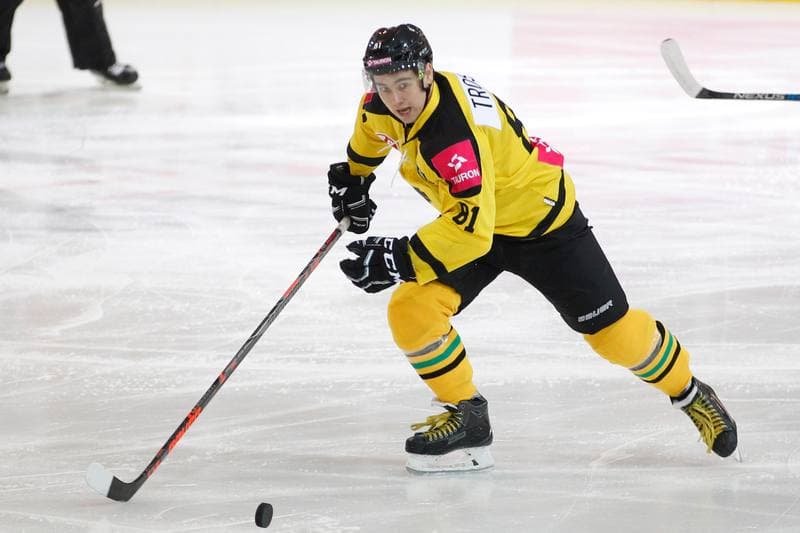 Ice Hockey. Tauron Hokej Liga. Tauron KH GKS Katowice - Unia Oswiecim. 03.02.2017