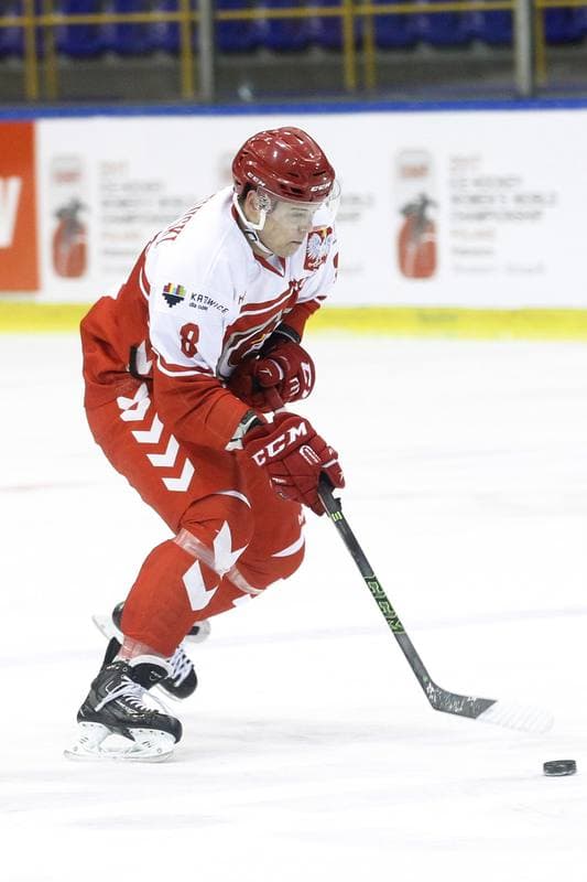 Ice Hockey. International Friendly Match. Poland - Slovakia B. 07.04.2017