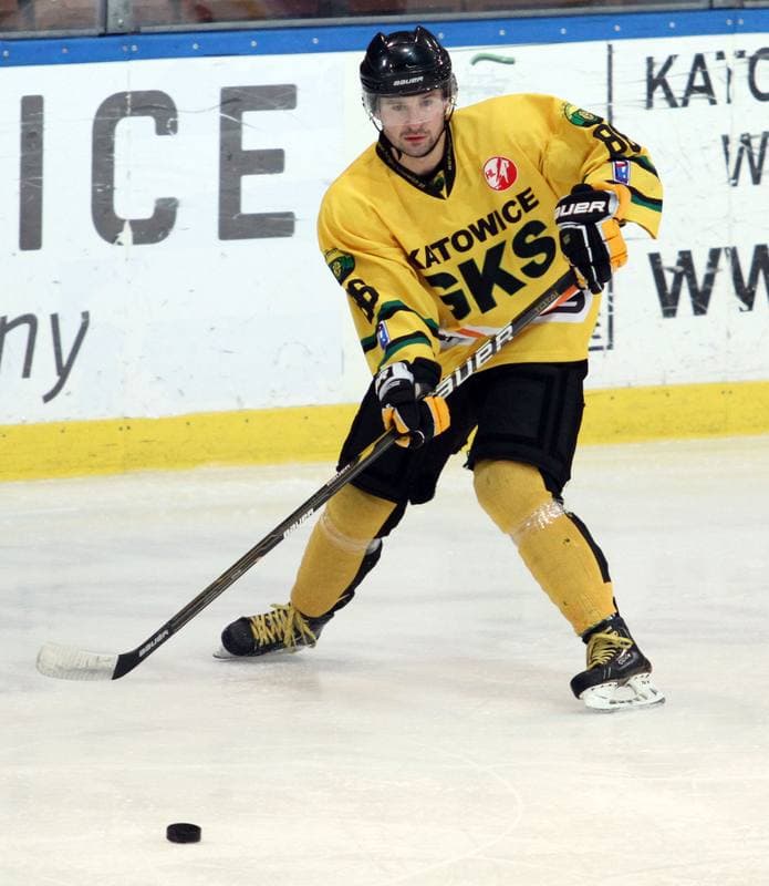 Ice Hockey. Polska Hokej Liga. HC GKS Katowice - KTH Krynica. 21.02.2014