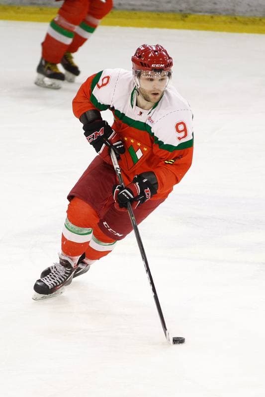 Ice Hockey. I Liga. Naprzod Janow - Zaglebie Sosnowiec. 12.03.2017