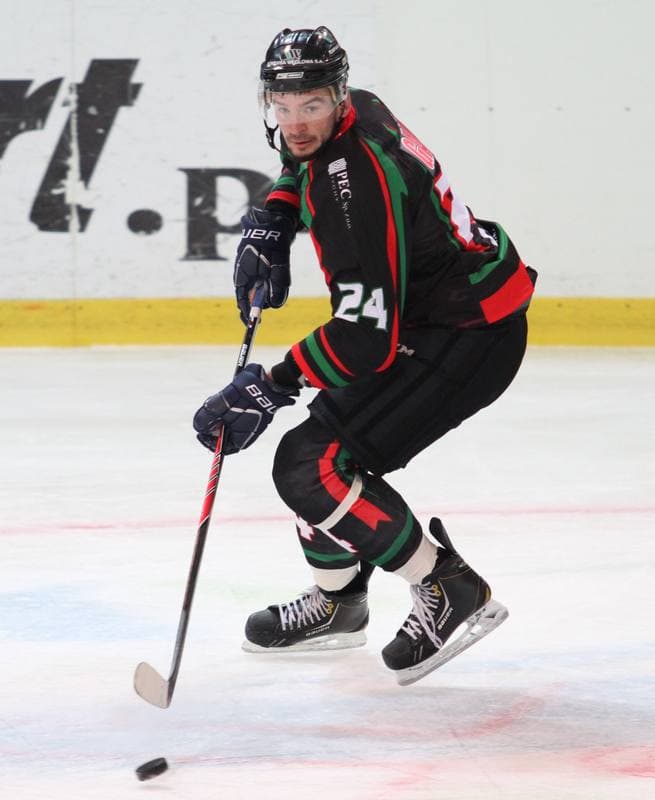 Ice Hockey. Polska Hokej Liga. HC GKS Katowice - GKS Tychy. 11.01.2015