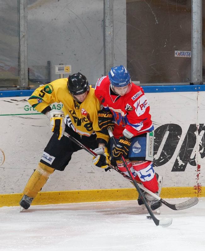 Ice Hockey. Tauron Hokej Liga. HC GKS Katowice - Polonia Bytom. 02.01.2015