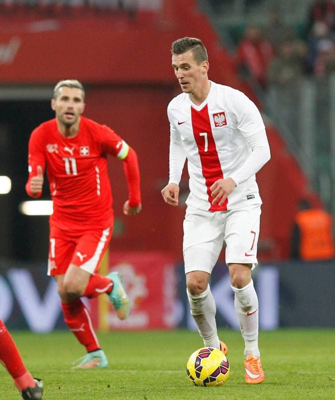 Football. International Friendly. Poland - Switzerland. 18.11.2014