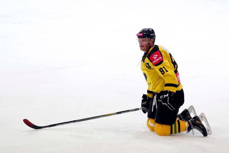Ice Hockey. Charity Match. Tauron KH GKS Katowice - Byki Tauron. 01.04.2017