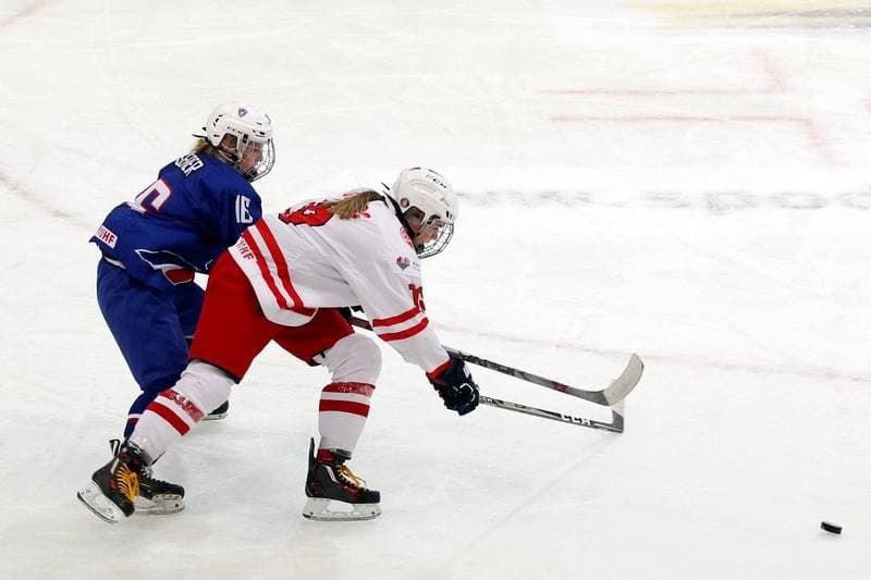 Ice Hockey. Women's U18 World Championship Division 1B. Poland - France. 11.01.2018