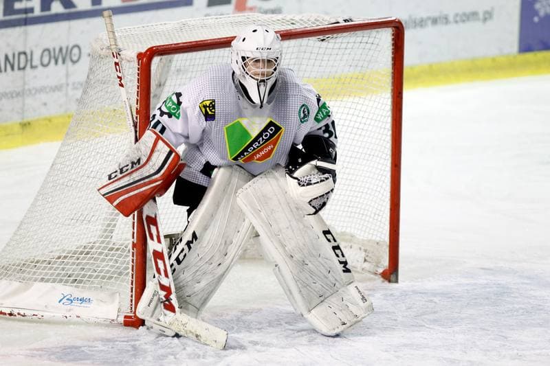 Ice Hockey. PLHK. Naprzod Janow - Polonia Bytom. 18.01.2018