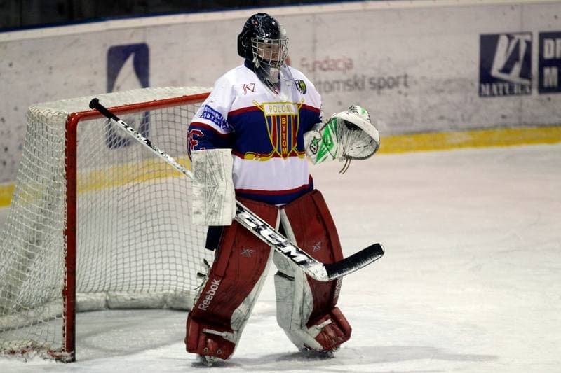 Ice Hockey. Polska Hokej Liga. Polonia Bytom - Automatyka Gdansk. 21.01.2018