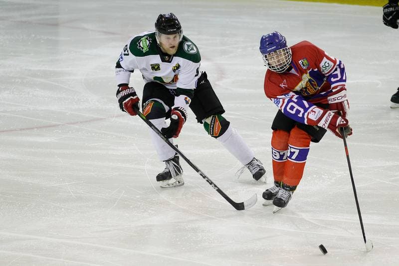 Ice Hockey. Polska Hokej Liga. Anteo Naprzod Janow - Polonia Bytom. 30.01.2018