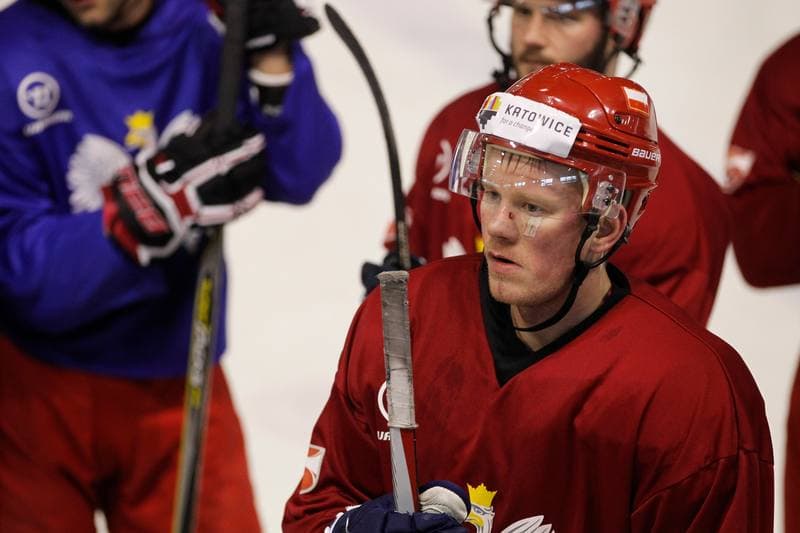 Ice Hockey. Poland national team. Training. 13.02.2018