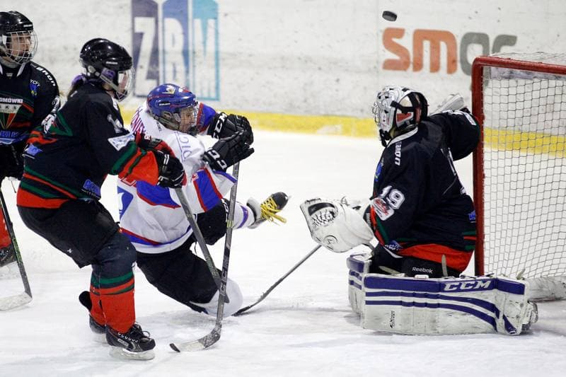 Ice Hockey. PLHK. Polonia Bytom - Atomowki Tychy. 27.01.2017