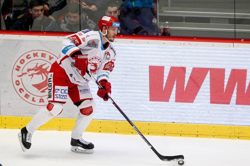 Ice Hockey. Tipsport Extraliga. Ocelari Trinec - Bili Tygri Liberec. 05.02.2017