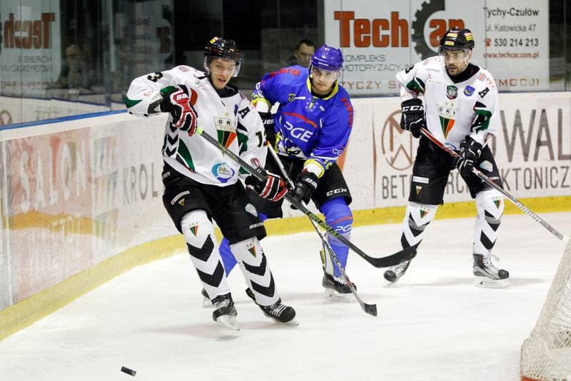 Ice Hockey. Polska Hokej Liga. GKS Tychy - Orlik Opole. 13.01.2017