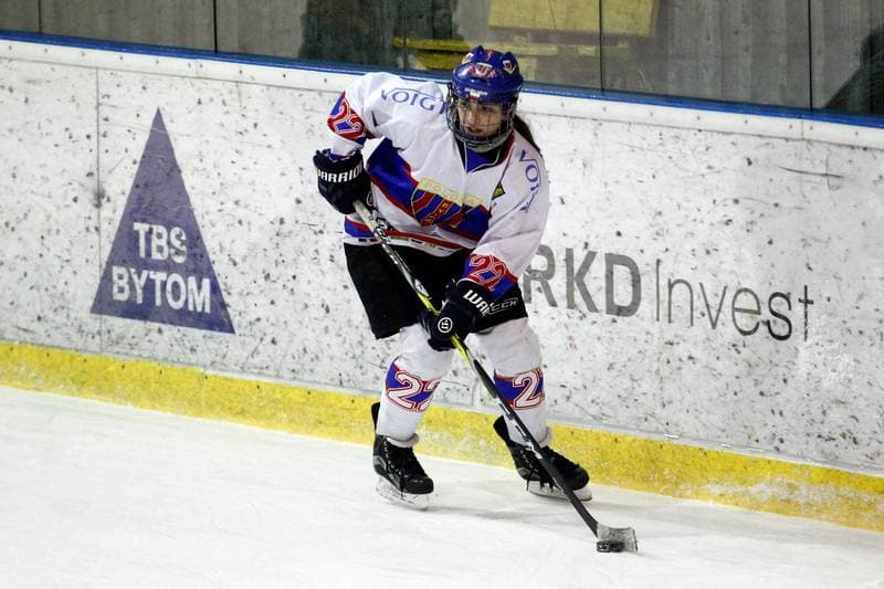 Ice Hockey. PLHK. Polonia Bytom - Atomowki Tychy. 27.01.2017