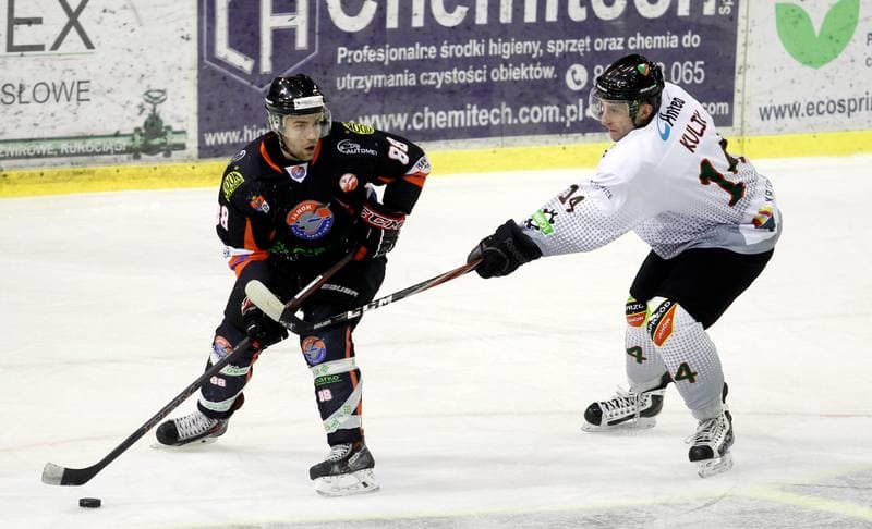 Ice Hockey. Polska Hokej Liga. Naprzod Janow - Ciarko KH Sanok. 18.01.2015