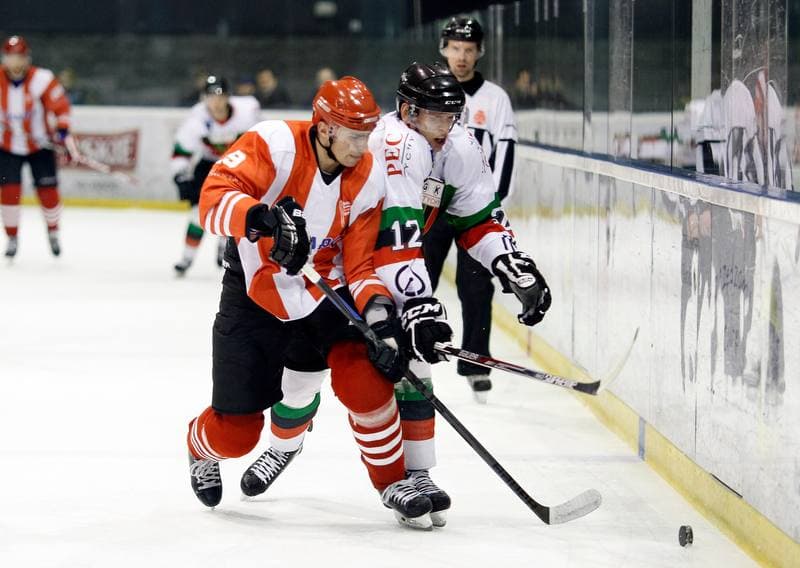 Ice Hockey. Polska Hokej Liga. GKS Tychy - Comarch Cracovia Krakow. 19.01.2014