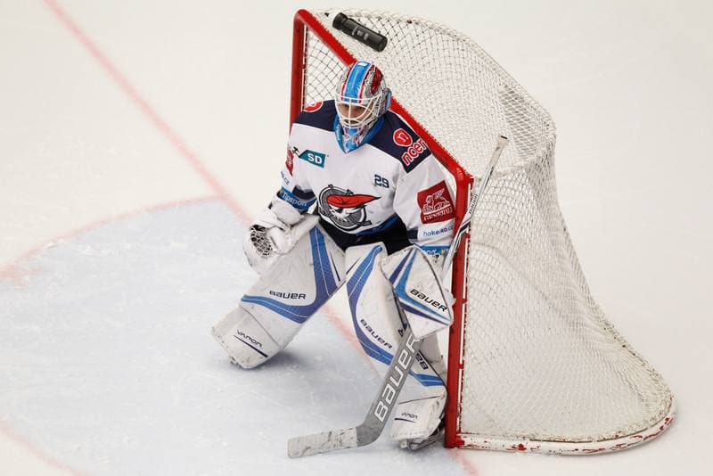 Ice Hockey. Tipsport Extraliga. Ocelari Trinec - Pirati Chomutov. 05.01.2018
