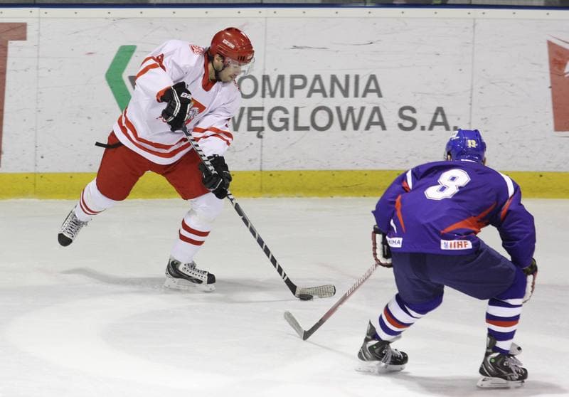 Ice Hockey. Poland national team. Press Conference. 06.02.2013
