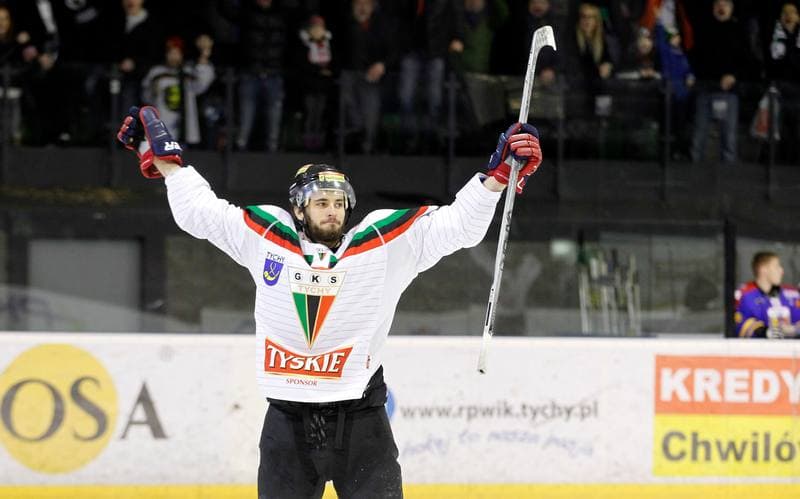 Ice Hockey. Polska Hokej Liga. GKS Tychy - Tatryski Podhale Nowy Targ. 01.03.2016