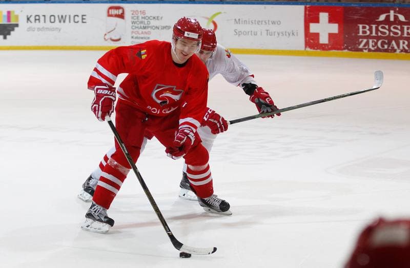 Ice Hockey. Poland national team. Training. 13.04.2016