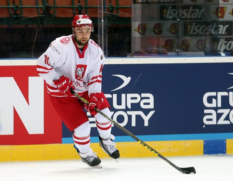 Ice Hockey. World Championship Division 1A. Italy - Poland. 23.04.2016