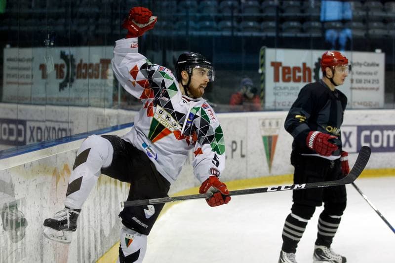 Ice Hockey. Polska Hokej Liga. GKS Tychy - Comarch Cracovia. 21.01.2018