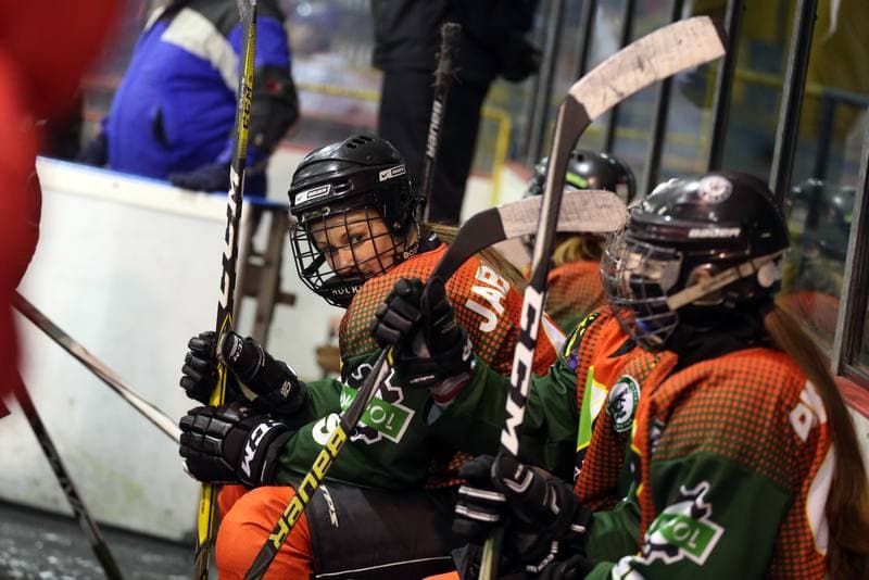 Ice Hockey. PLHK. Polonia Bytom - Naprzod Janow. 03.03.2018