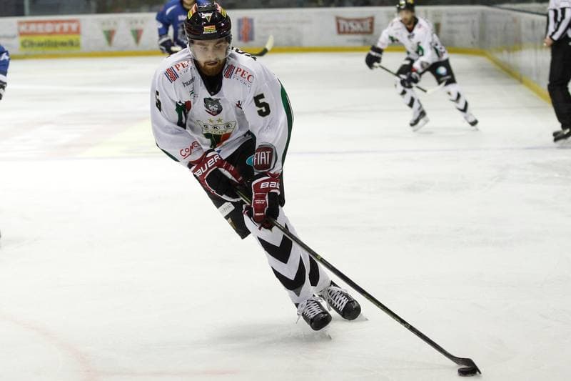 Ice Hockey. Polska Hokej Liga. GKS Tychy - SMS PZHL Sosnowiec. 11.09.2016