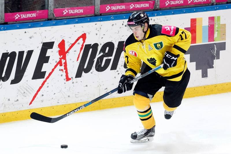Ice Hockey. Tauron Hokej Liga. Tauron KH GKS Katowice - Nesta Torun. 22.01.2017