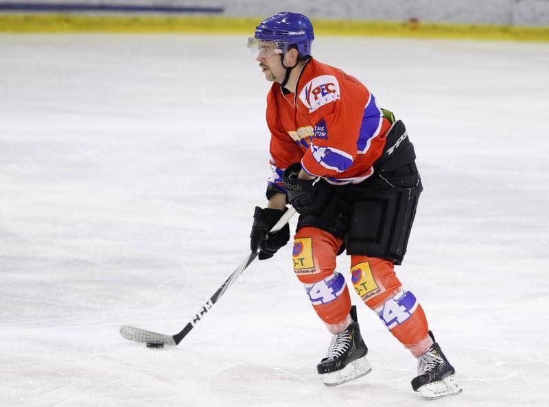 Ice Hockey. Polska Hokej Liga. Naprzod Janow - Polonia Bytom. 02.11.2014