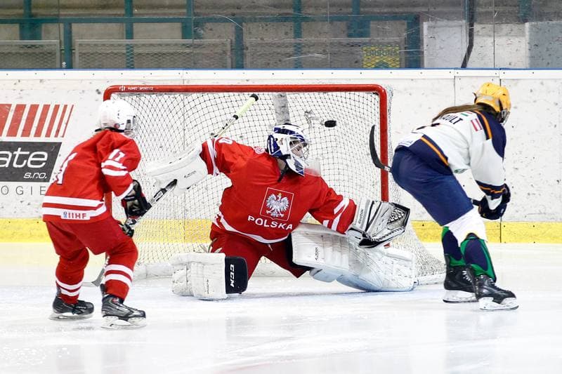 Ice Hockey. Women's Friendly Match. Poland - Ontario. 04.04.2017