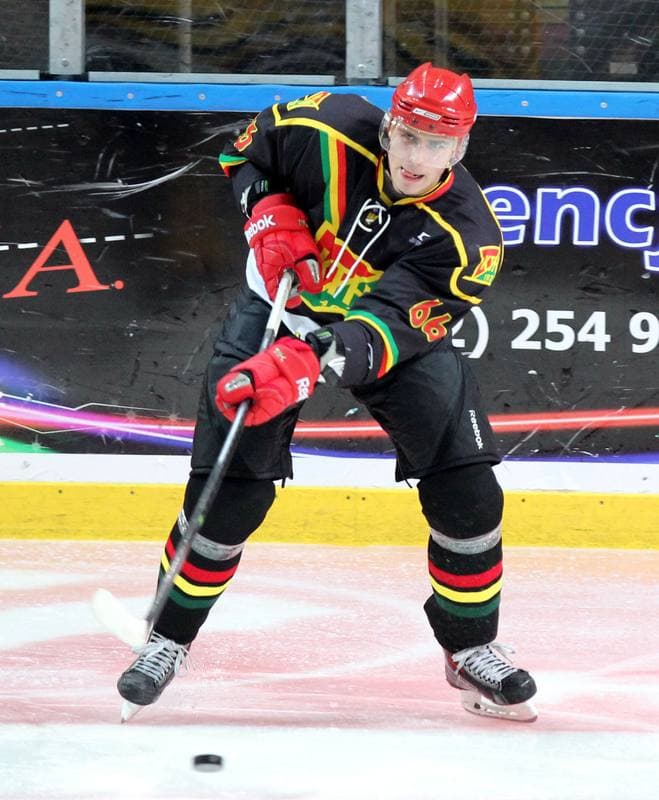 Ice Hockey. Polska Hokej Liga. HC GKS Katowice - KTH Krynica. 21.02.2014