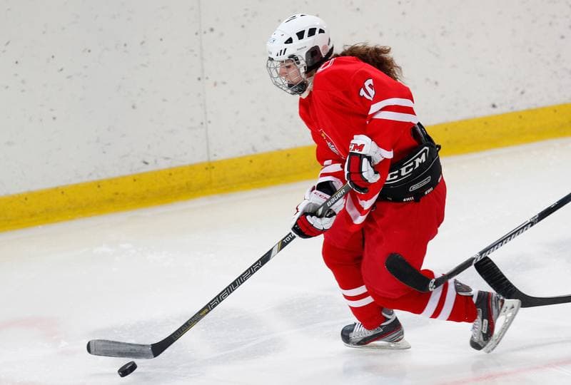 Ice Hockey. Women's International Friendly. Poland - Hungary. 18.01.2014