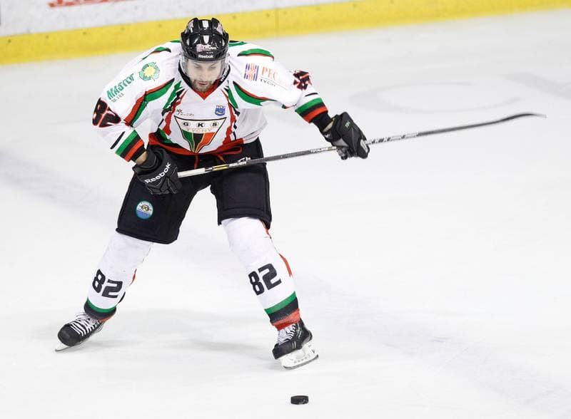 Ice Hockey. Polska Hokej Liga. GKS Tychy - Comarch Cracovia Krakow. 19.01.2014