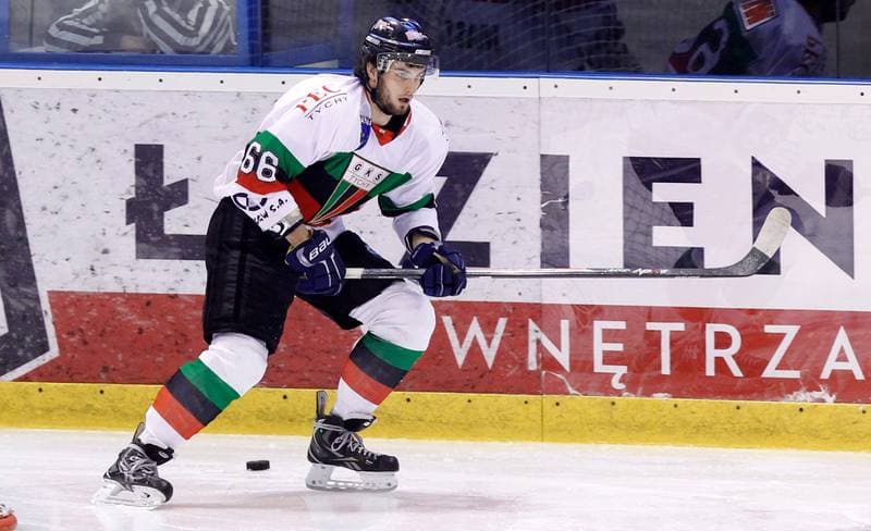 Ice Hockey. Polska Hokej Liga. GKS Tychy - HC GKS Katowice. 12.10.2014