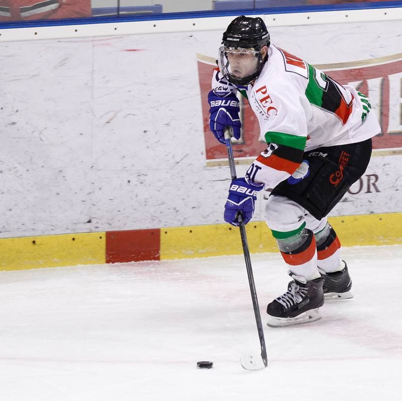 Ice Hockey. Polska Hokej Liga. GKS Tychy - JKH GKS Jastrzebie. 30.11.2014