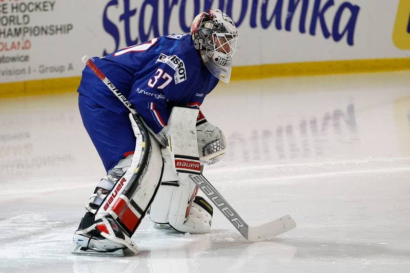 Ice Hockey. EIHC. France - Italy. 18.12.2015