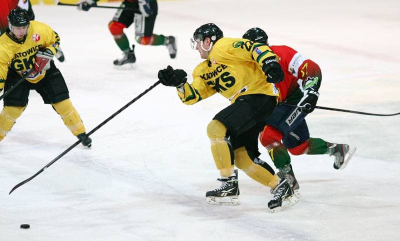 Ice Hockey. Polska Hokej Liga. HC GKS Katowice - Naprzod Janow. 10.02.2015