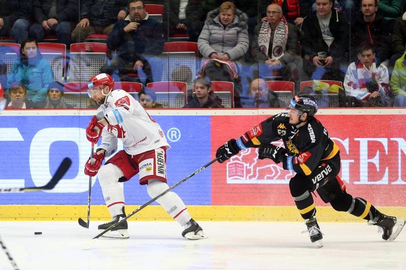 Ice Hockey. Tipsport Extraliga. Ocelari Trinec - HC Verva Litvinov. 06.01.2019