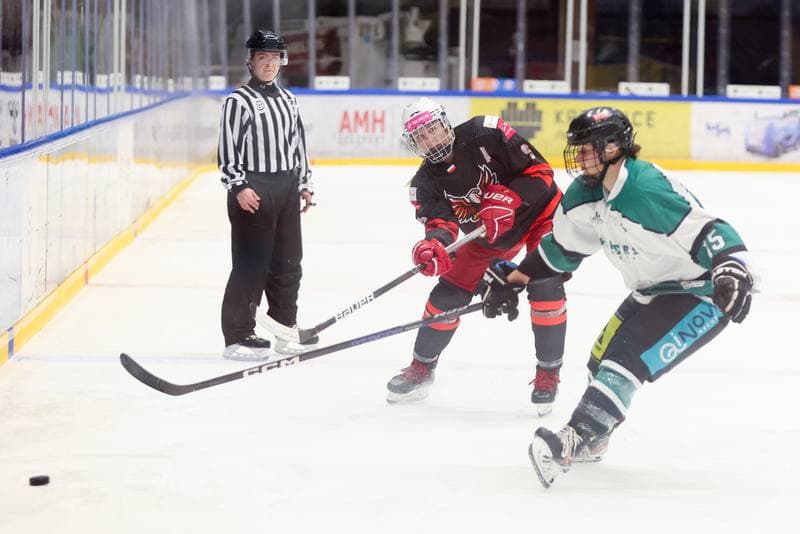 Ice Hockey. EWHL. Tauron Metropolia Silesia - KEHV Lakers. 03.02.2024
