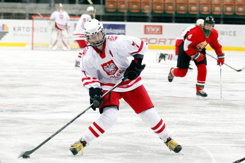 Ice Hockey. Women's Friendly Match. Poland - Hungary. 05.02.2016