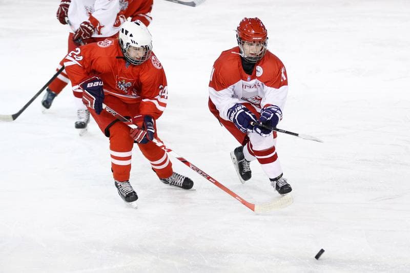 Ice Hockey. Women's U18 Friendly Match. Poland - Denmark. 06.01.2017