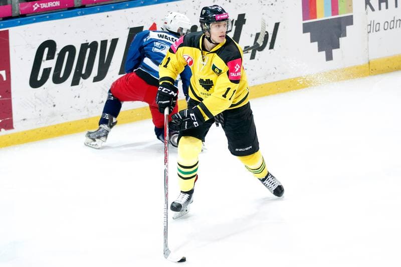 Ice Hockey. PHL. KH Tauron GKS Katowice - SMS PZHL Sosnowiec. 13.01.2017